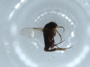  ( - BIOUG54235-D12)  @11 [ ] CreativeCommons - Attribution (2020) Centre for Biodiversity Genomics Centre for Biodiversity Genomics