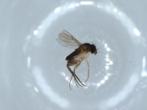  ( - BIOUG54292-D02)  @11 [ ] CreativeCommons - Attribution (2020) Centre for Biodiversity Genomics Centre for Biodiversity Genomics