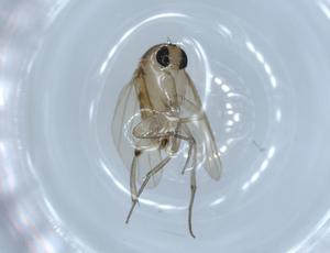  ( - BIOUG54655-C07)  @12 [ ] CreativeCommons - Attribution (2020) Centre for Biodiversity Genomics Centre for Biodiversity Genomics