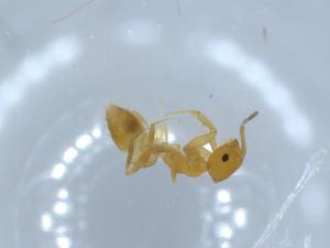  ( - BIOUG54646-C02)  @11 [ ] CreativeCommons - Attribution (2020) Centre for Biodiversity Genomics Centre for Biodiversity Genomics