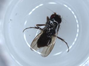  ( - BIOUG54339-H05)  @11 [ ] CreativeCommons - Attribution (2020) Centre for Biodiversity Genomics Centre for Biodiversity Genomics