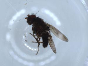  ( - BIOUG54340-G01)  @11 [ ] CreativeCommons - Attribution (2020) Centre for Biodiversity Genomics Centre for Biodiversity Genomics