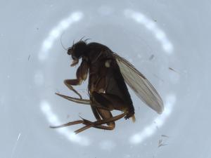  ( - BIOUG54345-G09)  @11 [ ] CreativeCommons - Attribution (2020) Centre for Biodiversity Genomics Centre for Biodiversity Genomics