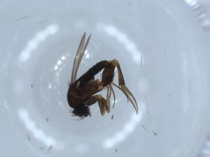  ( - BIOUG54346-C10)  @11 [ ] CreativeCommons - Attribution (2020) Centre for Biodiversity Genomics Centre for Biodiversity Genomics