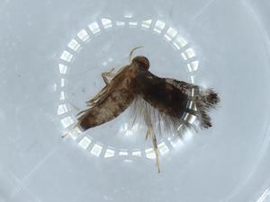  ( - BIOUG54351-F08)  @11 [ ] CreativeCommons - Attribution (2020) Centre for Biodiversity Genomics Centre for Biodiversity Genomics