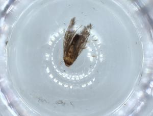  ( - BIOUG54351-G01)  @11 [ ] CreativeCommons - Attribution (2020) Centre for Biodiversity Genomics Centre for Biodiversity Genomics