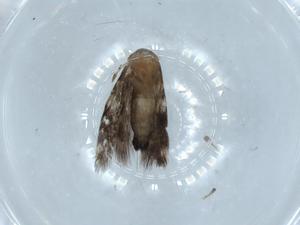  ( - BIOUG54351-G02)  @11 [ ] CreativeCommons - Attribution (2020) Centre for Biodiversity Genomics Centre for Biodiversity Genomics