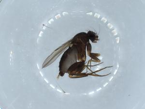  ( - BIOUG54352-E07)  @11 [ ] CreativeCommons - Attribution (2020) Centre for Biodiversity Genomics Centre for Biodiversity Genomics