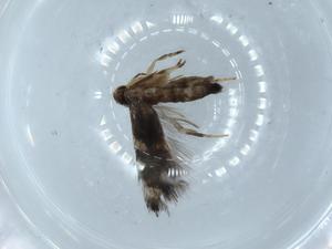  ( - BIOUG54352-H04)  @11 [ ] CreativeCommons - Attribution (2020) Centre for Biodiversity Genomics Centre for Biodiversity Genomics