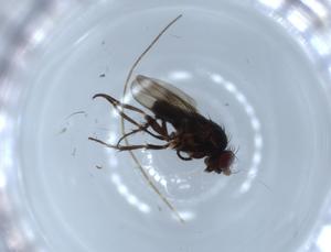  ( - BIOUG54353-H07)  @11 [ ] CreativeCommons - Attribution (2020) Centre for Biodiversity Genomics Centre for Biodiversity Genomics