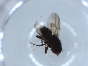  ( - BIOUG54354-G07)  @11 [ ] CreativeCommons - Attribution (2020) Centre for Biodiversity Genomics Centre for Biodiversity Genomics