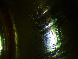  ( - OXI_TERLD1)  @11 [ ] CreativeCommons - Attribution Share-Alike (2025) Unspecified University of Lodz, Department of Invertebrate Zoology and Hydrobiology