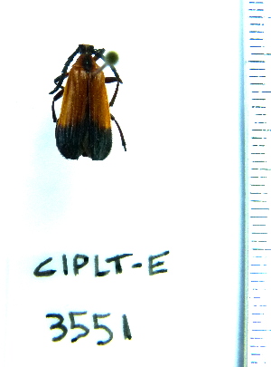  ( - CIPLT-E-3551)  @11 [ ] Copyright (2015) Stefan Harrison Para la Tierra