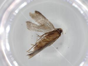  ( - BIOUG62150-F05)  @11 [ ] CreativeCommons - Attribution (2020) Centre for Biodiversity Genomics Centre for Biodiversity Genomics