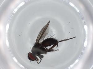  ( - BIOUG62502-B03)  @11 [ ] CreativeCommons - Attribution (2020) Centre for Biodiversity Genomics Centre for Biodiversity Genomics