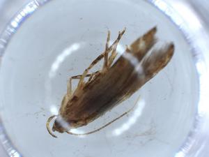  ( - BIOUG54797-B05)  @11 [ ] CreativeCommons - Attribution (2020) Centre for Biodiversity Genomics Centre for Biodiversity Genomics