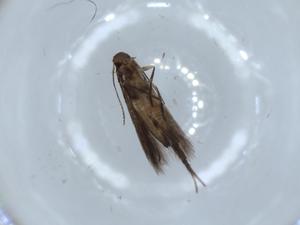  ( - BIOUG55906-D05)  @11 [ ] CreativeCommons - Attribution (2020) Centre for Biodiversity Genomics Centre for Biodiversity Genomics