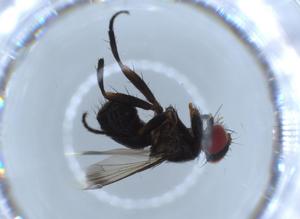  ( - BIOUG55940-B08)  @11 [ ] CreativeCommons - Attribution (2020) Centre for Biodiversity Genomics Centre for Biodiversity Genomics