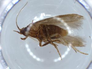  ( - BIOUG55943-B02)  @11 [ ] CreativeCommons - Attribution (2020) Centre for Biodiversity Genomics Centre for Biodiversity Genomics