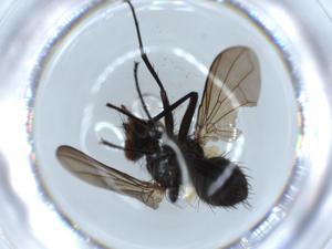  ( - BIOUG54955-E02)  @11 [ ] CreativeCommons - Attribution (2020) Centre for Biodiversity Genomics Centre for Biodiversity Genomics