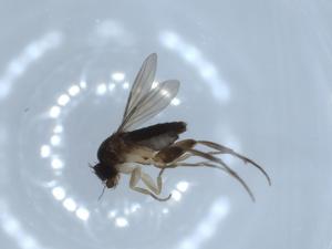  ( - BIOUG56328-D08)  @11 [ ] CreativeCommons - Attribution (2020) Centre for Biodiversity Genomics Centre for Biodiversity Genomics