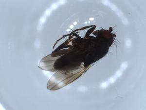  ( - BIOUG56332-E07)  @11 [ ] CreativeCommons - Attribution (2020) Centre for Biodiversity Genomics Centre for Biodiversity Genomics