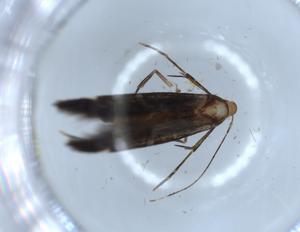  ( - BIOUG55796-D07)  @11 [ ] CreativeCommons - Attribution (2020) Centre for Biodiversity Genomics Centre for Biodiversity Genomics