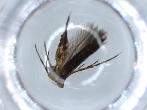  ( - BIOUG56058-D02)  @11 [ ] CreativeCommons - Attribution (2020) Centre for Biodiversity Genomics Centre for Biodiversity Genomics