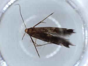  ( - BIOUG56062-E07)  @11 [ ] CreativeCommons - Attribution (2020) Centre for Biodiversity Genomics Centre for Biodiversity Genomics