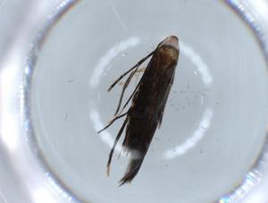  ( - BIOUG56062-G02)  @11 [ ] CreativeCommons - Attribution (2020) Centre for Biodiversity Genomics Centre for Biodiversity Genomics