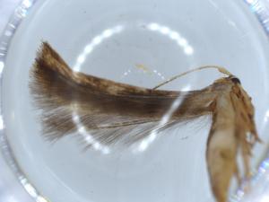  ( - BIOUG56108-C06)  @11 [ ] CreativeCommons - Attribution (2020) Centre for Biodiversity Genomics Centre for Biodiversity Genomics