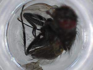  ( - BIOUG59444-E07)  @11 [ ] CreativeCommons - Attribution (2020) Centre for Biodiversity Genomics Centre for Biodiversity Genomics