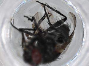  ( - BIOUG59458-D06)  @11 [ ] CreativeCommons - Attribution (2020) Centre for Biodiversity Genomics Centre for Biodiversity Genomics