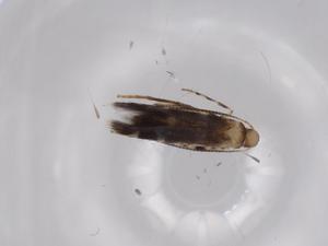  ( - BIOUG62107-E04)  @11 [ ] CreativeCommons - Attribution (2020) Centre for Biodiversity Genomics Centre for Biodiversity Genomics