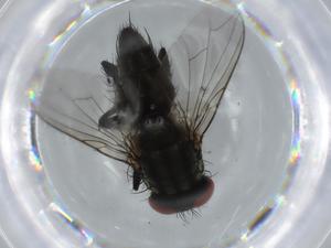  ( - BIOUG62761-D10)  @11 [ ] CreativeCommons - Attribution (2020) Centre for Biodiversity Genomics Centre for Biodiversity Genomics