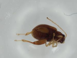  ( - BIOUG64015-G05)  @11 [ ] CreativeCommons - Attribution (2021) Centre for Biodiversity Genomics Centre for Biodiversity Genomics