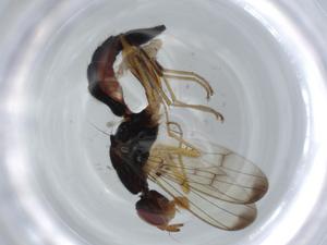  ( - BIOUG57330-H04)  @12 [ ] CreativeCommons - Attribution (2020) Centre for Biodiversity Genomics Centre for Biodiversity Genomics