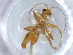  ( - BIOUG56483-H03)  @12 [ ] CreativeCommons - Attribution (2020) Centre for Biodiversity Genomics Centre for Biodiversity Genomics