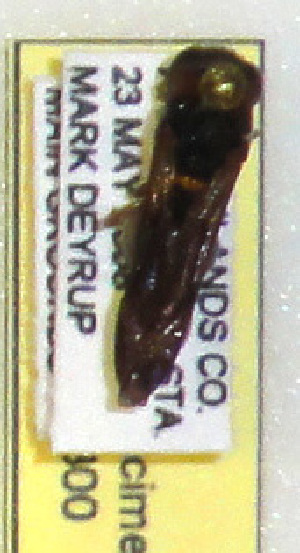  ( - PMAE0300)  @12 [ ] Unspecified (default): All Rights Reserved  Unspecified Unspecified