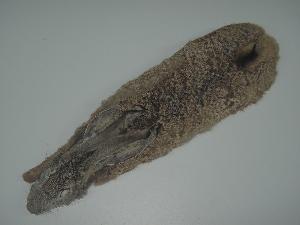  ( - CIBNOR-18642)  @13 [ ] Copyright (2012) Unspecified Unspecified