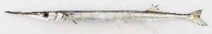  ( - M031-092)  @11 [ ] Copyright (2014) D. Ponton IRD