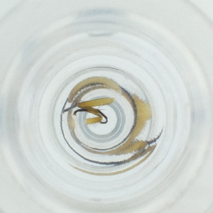  ( - POMS_071_G4)  @11 [ ] by  Genome Research Ltd as Wellcome Sanger Institute Genome Research Limited operating as Wellcome Sanger Institute