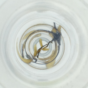  ( - POMS_071_H9)  @11 [ ] by  Genome Research Ltd as Wellcome Sanger Institute Genome Research Limited operating as Wellcome Sanger Institute