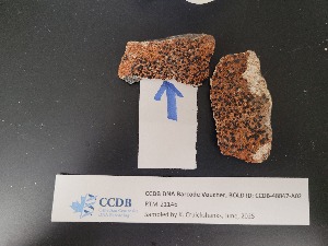  ( - CCDB-48847-A02)  @11 [ ] CreativeCommons - Attribution Non-Commercial Share-Alike (2025) Canadian Museum of Nature Canadian Museum of Nature