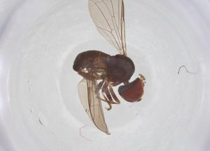  ( - BIOUG20989-E06)  @11 [ ] CreativeCommons - Attribution Share - Alike (2025) Centre for Biodiversity Genomics Centre for Biodiversity Genomics