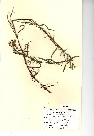  ( - NMW003)  @11 [ ] Unspecified (default): All Rights Reserved  Unspecified Unspecified