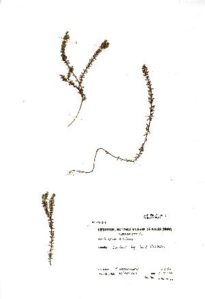  ( - NMW289)  @11 [ ] Unspecified (default): All Rights Reserved  Unspecified Unspecified