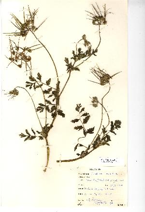  ( - NMW308)  @11 [ ] Unspecified (default): All Rights Reserved  Unspecified Unspecified