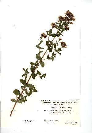  ( - NMW3693)  @11 [ ] CreativeCommons - Attribution (2012) National Museum Wales National Museum Wales