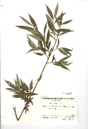  ( - NMW749)  @11 [ ] Unspecified (default): All Rights Reserved  Unspecified Unspecified